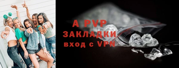 хмурый Инсар