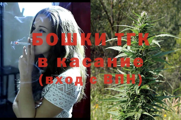 хмурый Инсар
