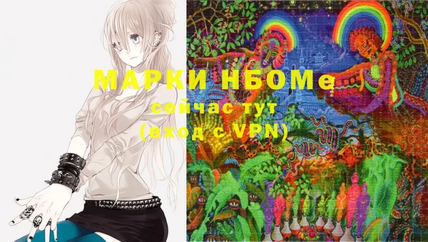 хмурый Инсар