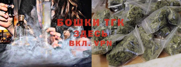 Альфа ПВП Инта