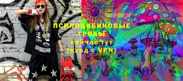 хмурый Инсар