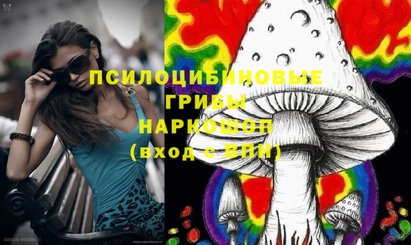 хмурый Инсар