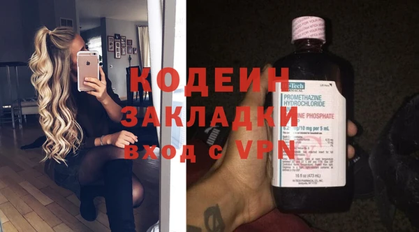 хмурый Инсар
