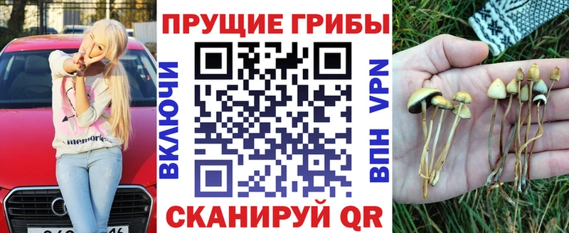 Купить закладки  Верхняя Тура  Галлюциногенные грибы Magic Shrooms 